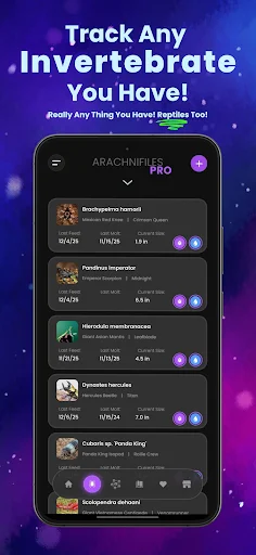 Arachnifiles: Pet Tracker – Subaybayan ang Iyong Exotic Pets - Screenshot 1
