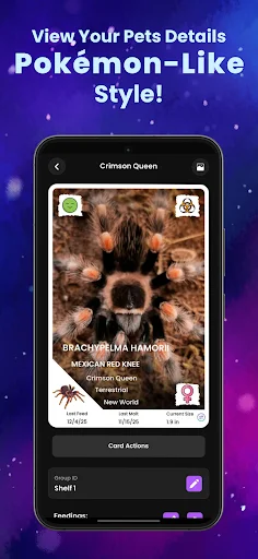 Arachnifiles: Pet Tracker – Subaybayan ang Iyong Exotic Pets - Screenshot 4